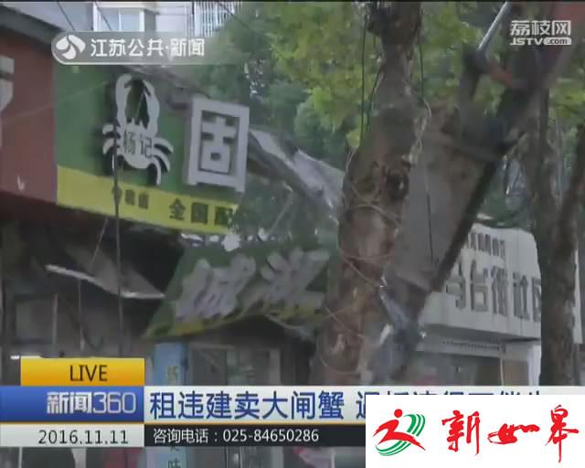 租下违章建筑卖大闸蟹 遇拆违得不偿失