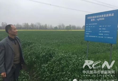 “身边的工匠精神”之农艺师袁国明-雉水网