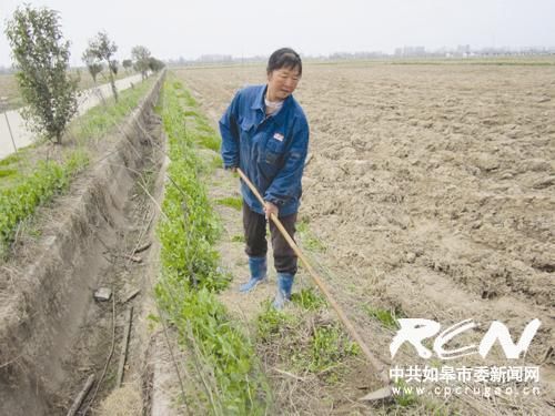 吴金兰：在田野里放飞希望-雉水网