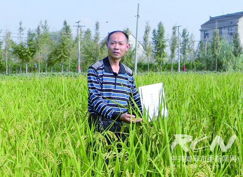 袁国明：农技创新助农民致富增收-雉水网