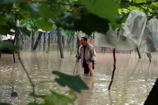 常州溧阳雨量全省最大已启动防汛Ⅰ级应急响应-雉水网