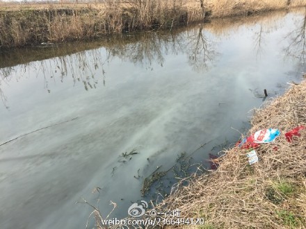 南通三余海防村果园组小河污染严重-雉水网