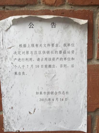 如皋石庄供销社蘑菇站侵害下岗职工居住权-雉水网