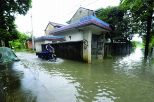 高淳西莲村2700多人被转移众人得到妥善照顾-雉水网