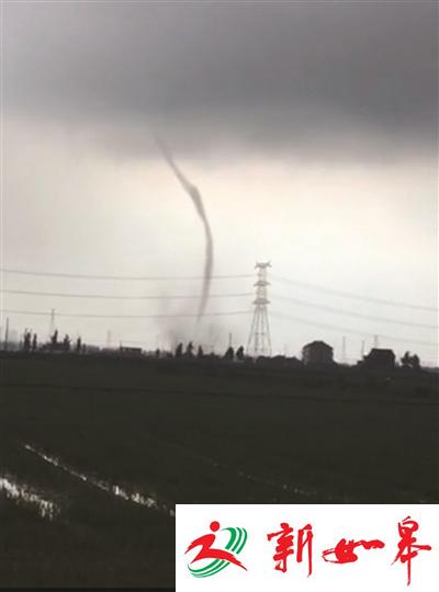 南通张芝山镇遭遇强风袭击 9旬老太太废墟中躲过一劫-雉水网