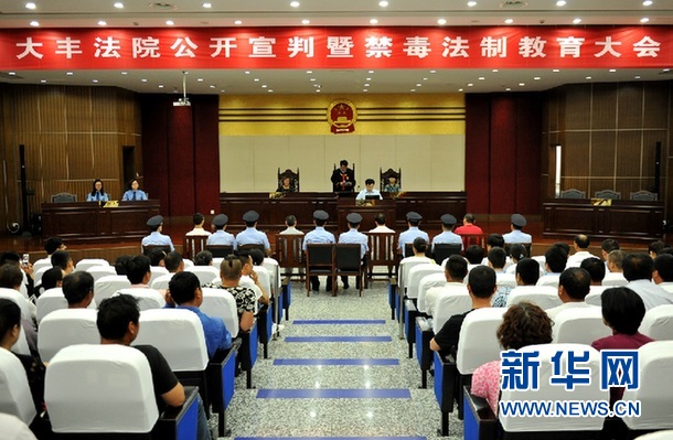 大丰法院公开宣判两起毒品犯罪案件-雉水网