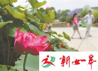 南通啬园免费开放-雉水网