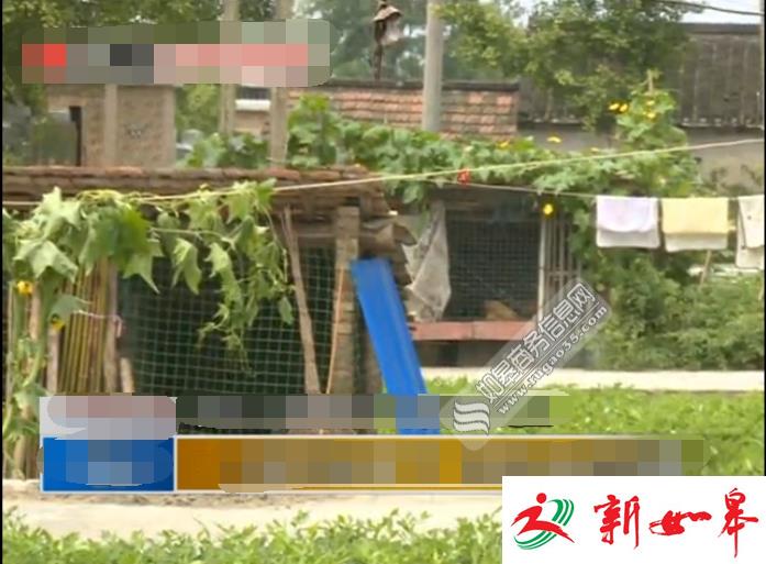 如皋石庄镇海圩村现“家禽大盗”　警方心系群众积极追赃挽损-雉水网