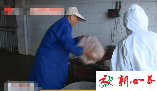 如皋开展生猪屠宰整顿行动 市民可以吃上放心猪肉-雉水网