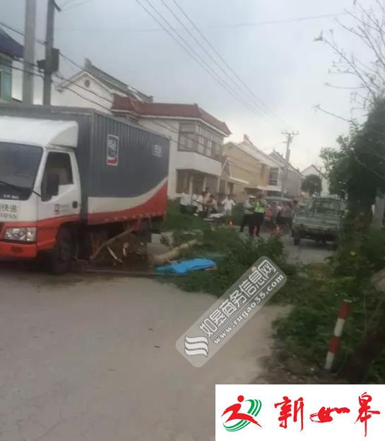 如皋丁堰砍树导致交通事故 1人被树砸中当场死亡-雉水网