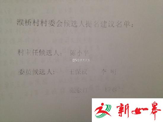 如东袁庄镇濮桥村村主任选举是否存在猫腻？-雉水网