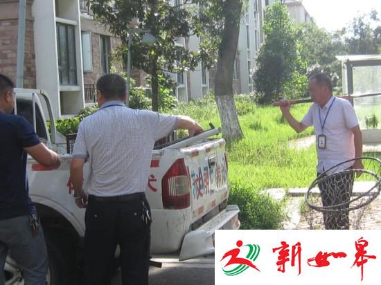 南京溧水开展犬类管理整治 捕获100余只流浪犬-雉水网