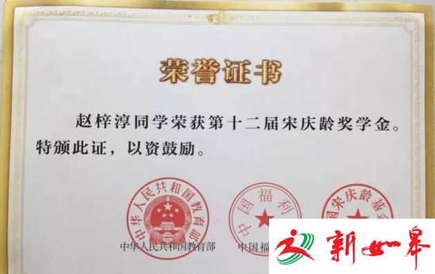 如皋小作家获宋庆龄奖学金 《花朵奇奇谷》好评如潮-雉水网