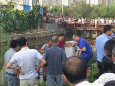 如皋长江镇护城河惊现女尸 岸边发现死者遗物具体原因不明-雉水网