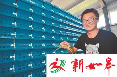 南通海安大学生立体化养殖 让螃蟹住上“公寓楼”-雉水网