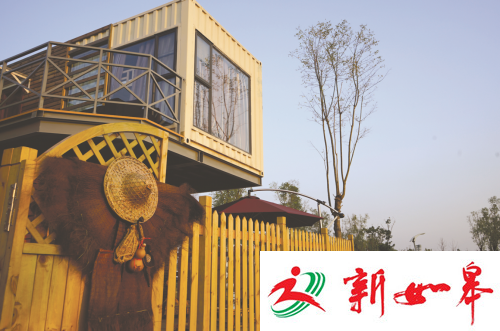 盐城大纵湖户外露营节吸引10万人参与-雉水网