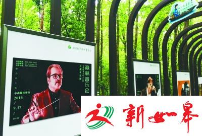 享受音乐欢度中秋 钟山风景区进入“音乐会模式”-雉水网