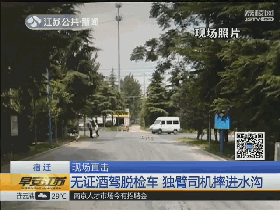 独臂司机无证酒驾脱检车 摔进水沟-雉水网