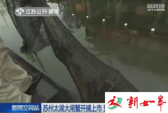 苏州太湖大闸蟹开捕上市 预计今年总产量2700吨-雉水网