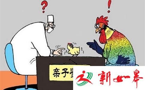 女儿长太高:父亲欲做亲子鉴定-雉水网