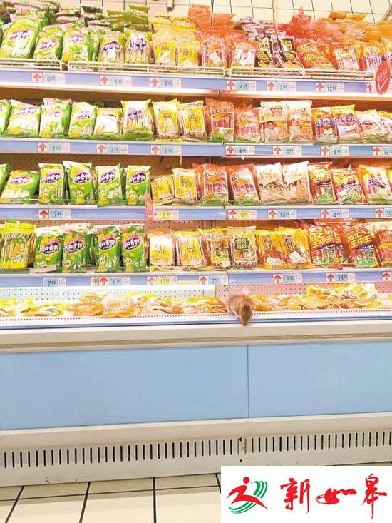 超市冷藏柜现老鼠 店方称得批准才能回应-雉水网