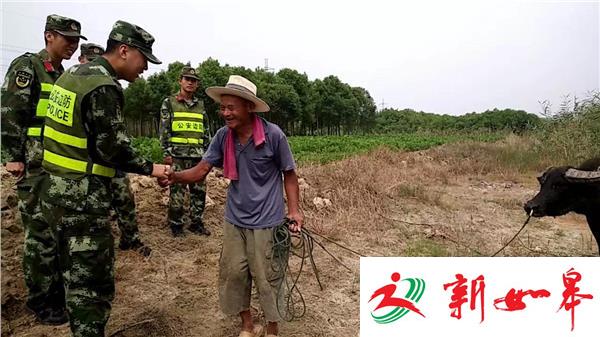 七旬老人的水牛走丢了  边防民警一夜找回-雉水网