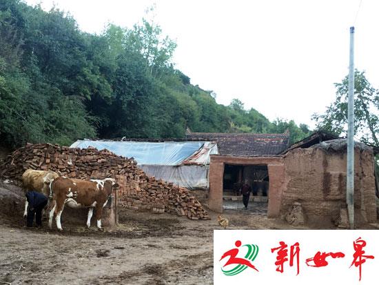 甘肃农妇杀子案追踪:八口之家只剩两位老人-雉水网