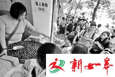 南京栗子提早上市一周市民尝鲜 价格年年涨-雉水网