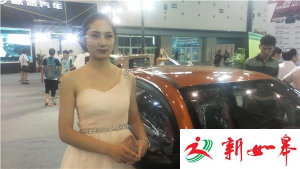 全国科普日江苏省主场活动开幕 70余家车企参展-雉水网