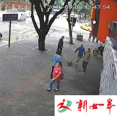 狗狗绊倒八旬老太 现场坐等民警来“断案”-雉水网