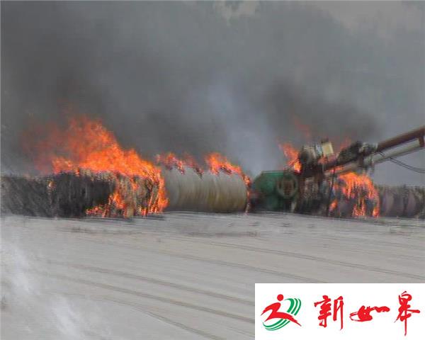 疑孩子玩火 蔬菜大棚起火-雉水网