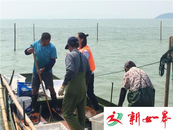 太湖渔民今日开捕 新鲜湖鲜惹人馋-雉水网