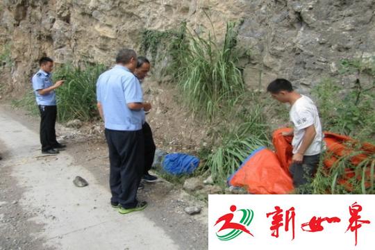 湖北男子摘马蜂窝欲卖钱 遭蜂群袭击坠崖身亡-雉水网