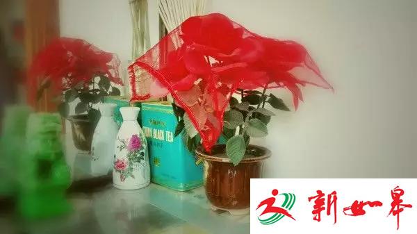 白银案首位受害者：父母离婚弟弟自杀 家里不过春节-雉水网