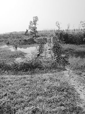 南京有人用渣土填湿地公园水面?回应:合法规划-雉水网