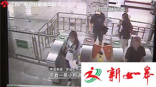 苏州:女子带宠物进地铁被拒 骂安检“没爱心”-雉水网