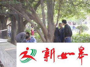 内蒙古：妻子公园内杀死丈夫 并用狗链将其吊在树上-雉水网