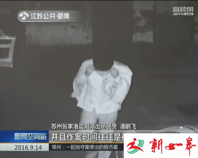 车内财物蹊跷被盗 小偷钻的什么空子？-雉水网