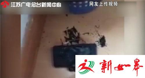 华为：与三星Note7爆炸无关 不诋毁友商产品-雉水网