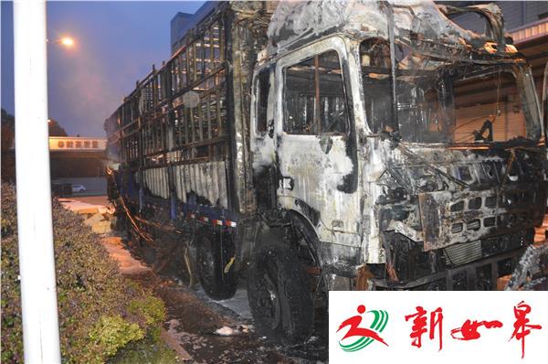 吃惊!凌晨货车变“火车”-雉水网