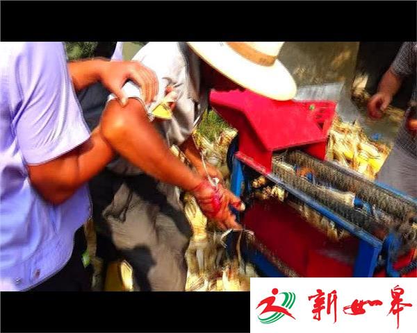 惨!玉米剥皮机 咬住老人手-雉水网