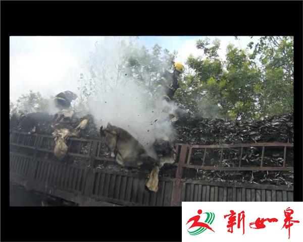 高速货车起火 一车冰鱼变烤鱼-雉水网