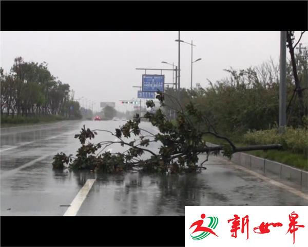 盐城：台风来袭 消防紧急排涝-雉水网