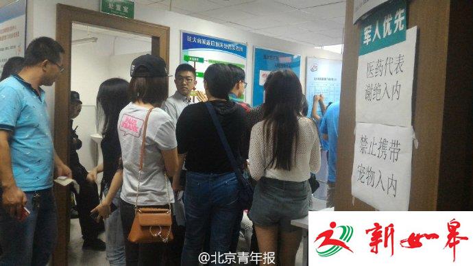 网爆北京永安里出现疯狗 已咬伤10余人-雉水网