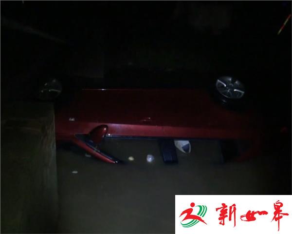 轿车坠河 好心人挥捶砸窗救了一家人-雉水网