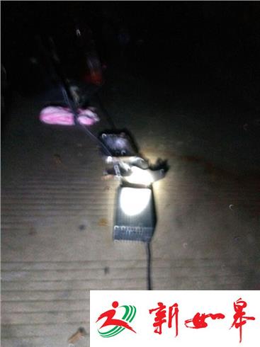 中秋夜 老汉骑电瓶车被撞-雉水网