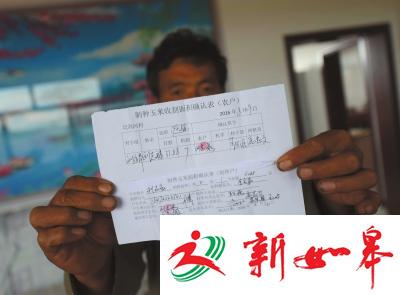 陕西4000亩转基因玉米遭强铲 种子经销商被拘留-雉水网