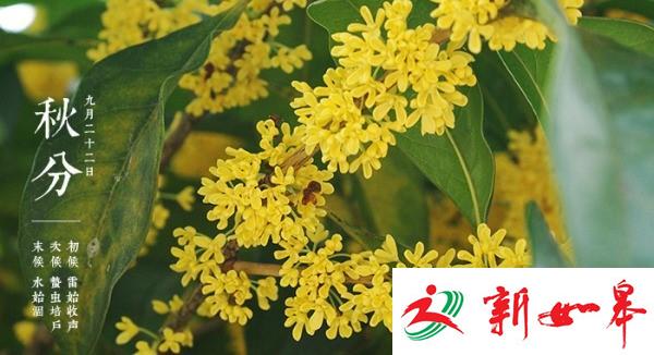 明日秋分夜凉如水 真正入秋可能要等到十月-雉水网