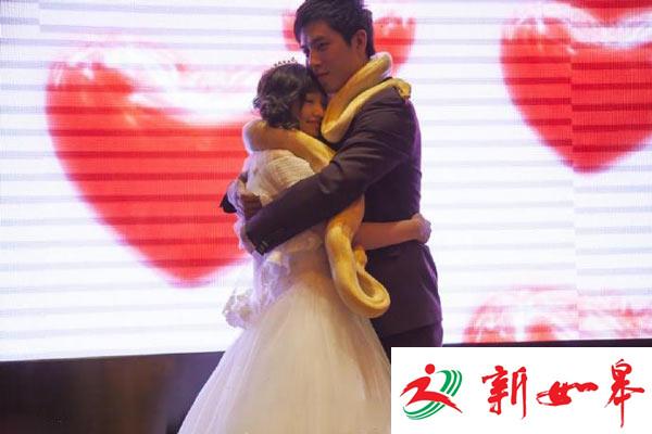 吉林市一对新人婚礼上互送黄金蟒 警方收缴-雉水网