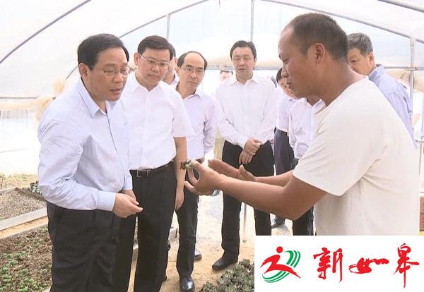 李强：把精准扶贫精准脱贫落到实处-雉水网